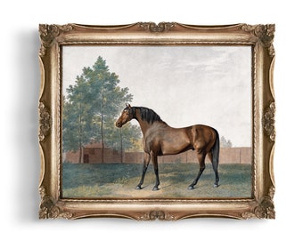 Vintage Bay Horse Portrait Print: Equestrian Sporting Art