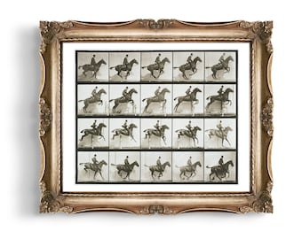 Vintage Horse Jumping Photo Print: Equestrian Wall Art