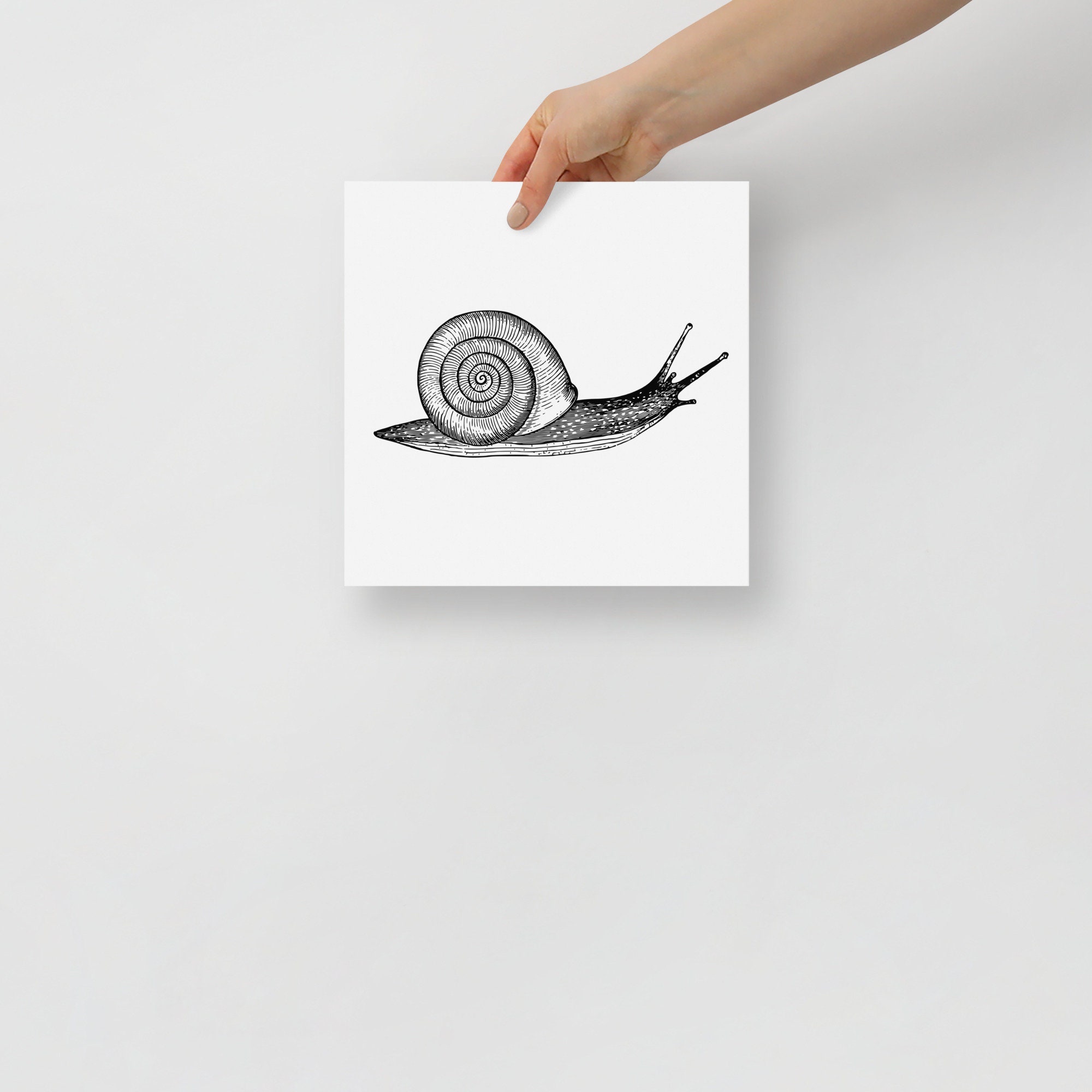 Snail Ink Vintage Snail Print: Ink Sketch Illustration, Kids Room Art - Etsy