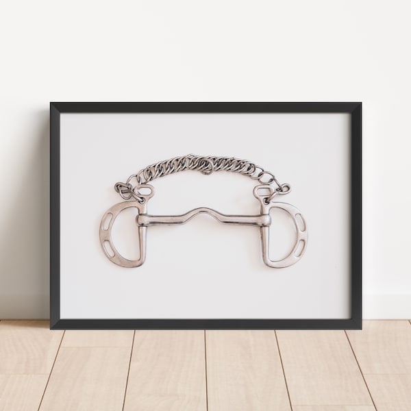Equine Bit Decor Etsy