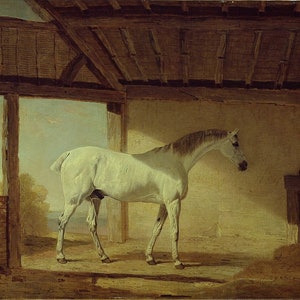 May include: A white horse stands in a stable with a wooden roof and brick walls. The horse is facing to the right and is looking off to the side. The horse is in the center of the image and is the main focus.