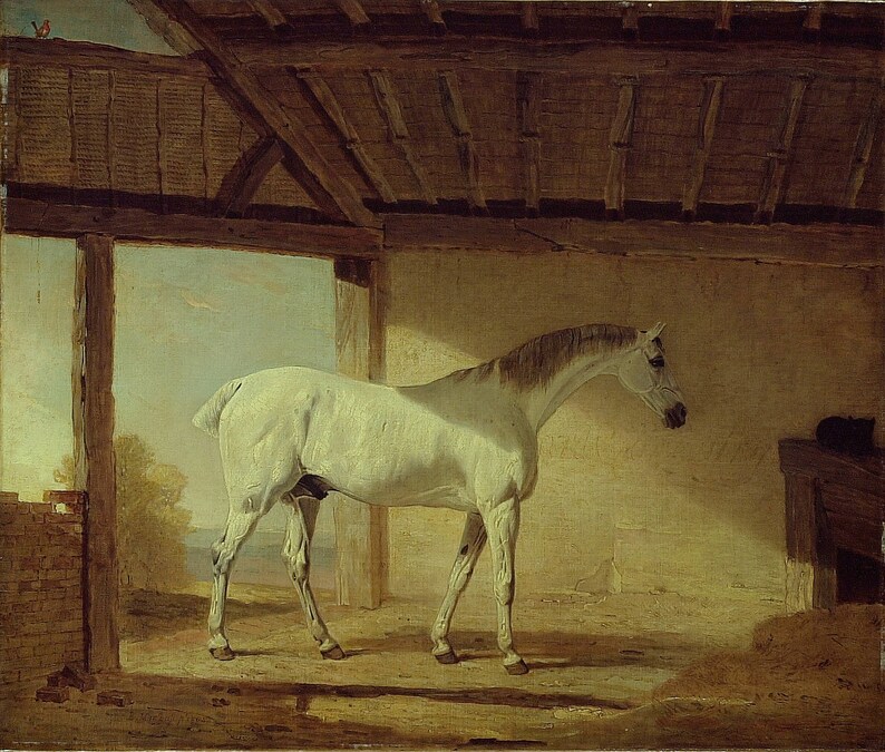 May include: A white horse stands in a stable with a wooden roof and brick walls. The horse is facing to the right and is looking off to the side. The horse is in the center of the image and is the main focus.