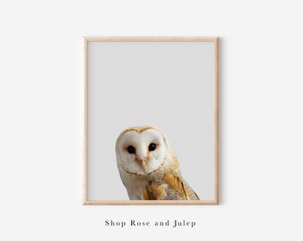 Minimalist Barn Owl Peekaboo Print, animal nursery decor, owl nursery print, barn owl print, owl art print, minimalist animal art
