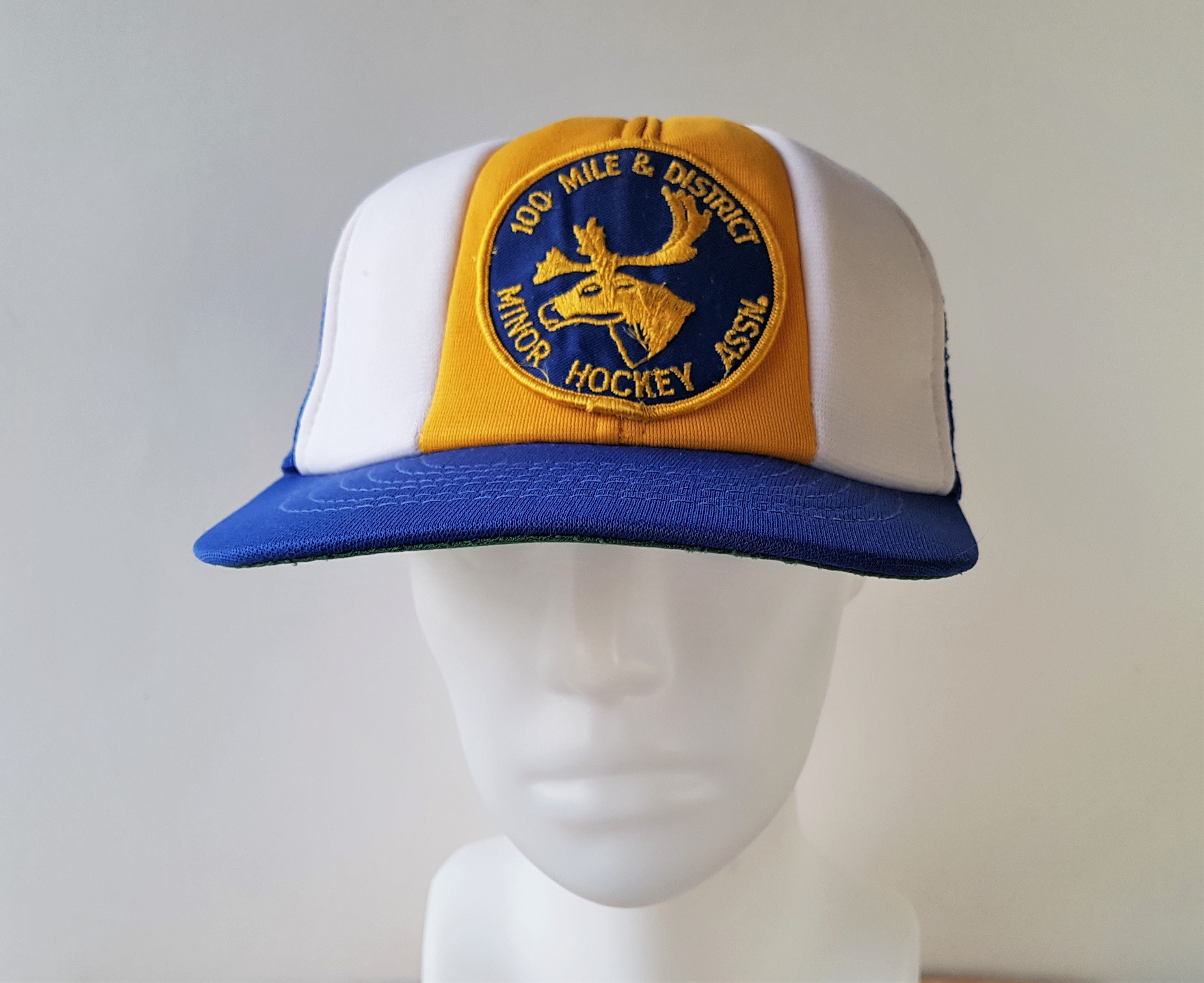 Vintage Minor League Hockey Hats  Retro Hockey Snapbacks, Trucker Hats &  Dad Caps - Vintage Ice Hockey