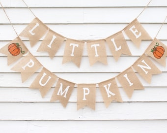 Little Pumpkin Banner, Little Pumpkin Baby Shower Decor, Pumpkin 1st Birthday, Rustic Pumpkin Shower Decorations, Pumpkin First Birthday