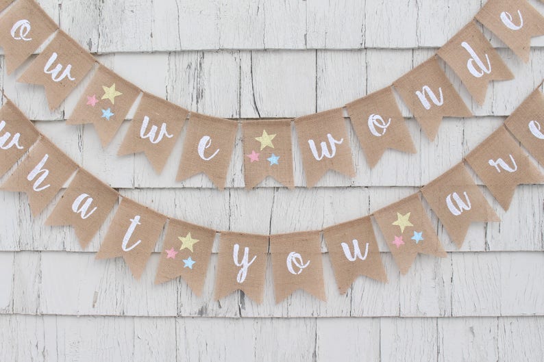 Gender Reveal Banner How We Wonder What You Are Banner Gender Reveal Ideas Twinkle Twinkle Little Star Rustic Baby Shower Decorations