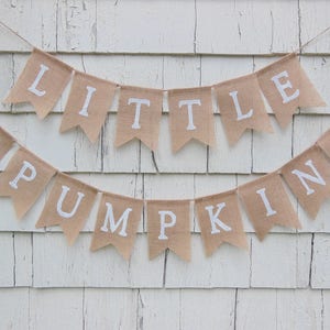 Pink Pumpkin Baby Shower, Pink Pumpkin Banner, Pink Pumpkin Birthday, Pink Pumpkin Decorations, Little Pumpkin Baby Shower, Pumpkin Birthday