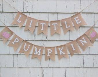 Pink Pumpkin Baby Shower, Pink Pumpkin Banner, Pink Pumpkin Birthday, Pink Pumpkin Decorations, Little Pumpkin Baby Shower, Pumpkin Birthday