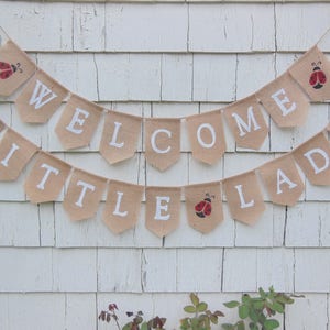 Little Lady Baby Shower, Lady Bug Shower Decorations, Lady Bug Banner, Little Lady Banner, Welcome Little Lady Banner, Ladybug Baby Shower