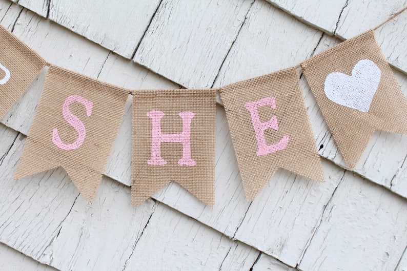 Gender Reveal Ideas Winter Gender Reveal Banner Valentines Day Gender Reveal Gender Reveal Decorations He or She Gender Reveal Banner
