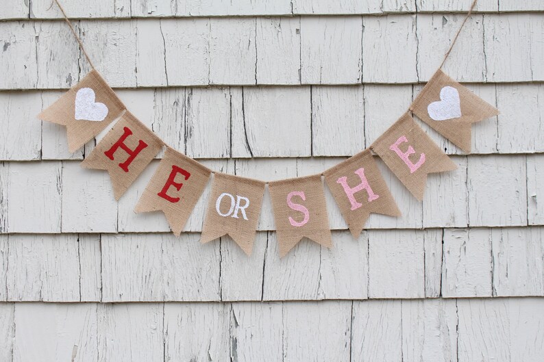Gender Reveal Ideas Winter Gender Reveal Banner Valentines Day Gender Reveal Gender Reveal Decorations He or She Gender Reveal Banner
