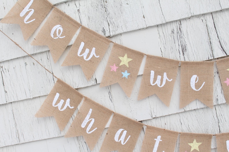 Gender Reveal Banner How We Wonder What You Are Banner Gender Reveal Ideas Twinkle Twinkle Little Star Rustic Baby Shower Decorations