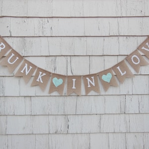 Drunk in Love Banner, Drunk In Love Garland, Bar Sign, Bachelorette Party Decor, Bachelorette Banner, Stock The Bar Banner, Bridal Shower
