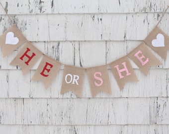 Valentines Day Gender Reveal, Winter Gender Reveal Banner, He or She Gender Reveal Banner, Gender Reveal Decorations, Gender Reveal Ideas