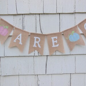 May include: A burlap banner with the words "We Are One" in white paint. The banner is decorated with small painted pumpkins, one pink and one blue.