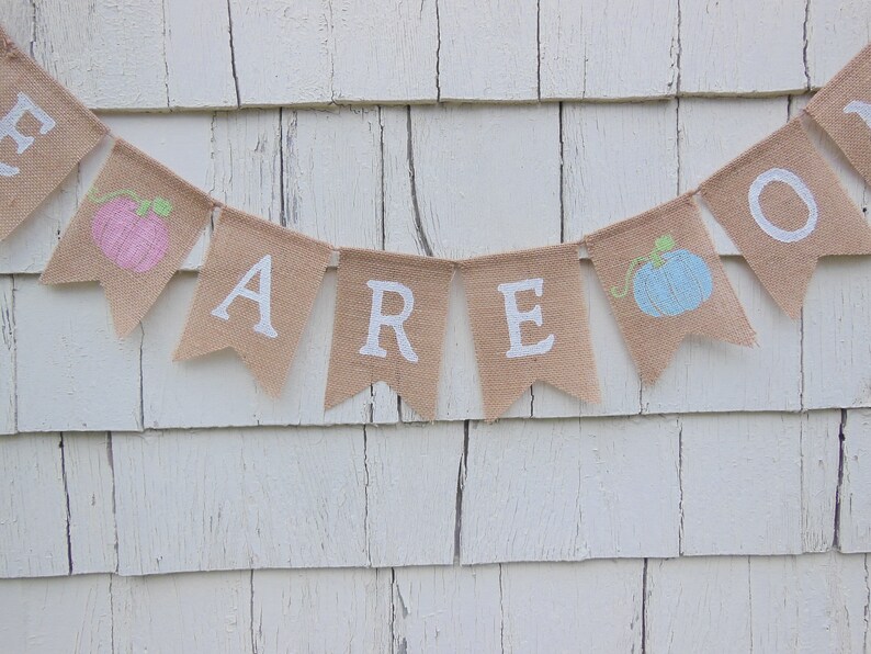 May include: A burlap banner with the words "We Are One" in white paint. The banner is decorated with small painted pumpkins, one pink and one blue.