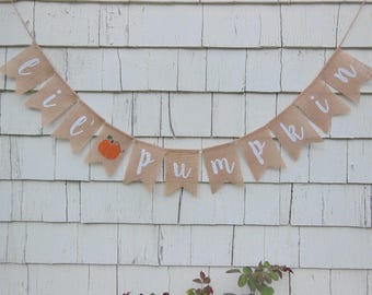 Little Pumpkin Banner, Little Pumpkin Baby Shower Decor, Burlap Garland, Pumpkin Shower Decor, Rustic Shower, Little Pumpkin Garland Sign