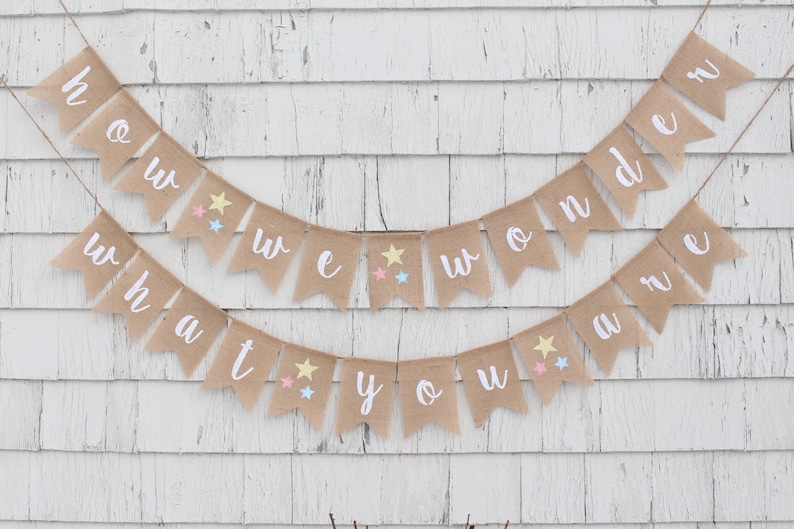 Gender Reveal Banner How We Wonder What You Are Banner Gender Reveal Ideas Twinkle Twinkle Little Star Rustic Baby Shower Decorations