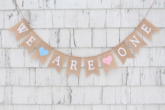 Qttier We are One Banner Twins 1st First Birthday Banner with Glitter Gold Crown Qttier We are One Banner Twins 1st First Birthday Banner with Glitter Gold Crown