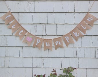 Pink Pumpkin Baby Shower, Little Pumpkin Banner, Little Pumpkin Shower Decor, Lil Pumpkin Bunting, Pink Pumpkin Decor, Lil Pumpkin Banner