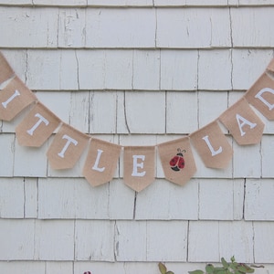 May include: A burlap banner with the words "Little Lady" in white lettering. A small red ladybug is on one of the flags.