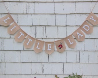 Little Lady Banner, Lady Bug Baby Shower, Ladybug Baby Shower, Lady Bug Banner, Little Lady Shower, Lady Bug Decorations, Ladybug Banner