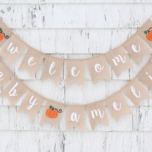 Pumpkin Welcome Baby Burlap Banner, Pumpkin Baby Shower Decorations, Pumpkin Baby Banner, Little Pumpkin Baby Shower, Custom Baby Banner