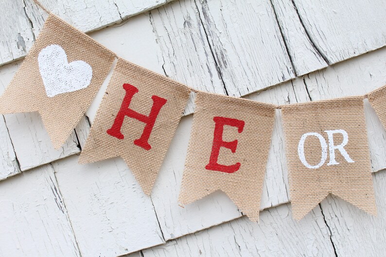 Gender Reveal Ideas Winter Gender Reveal Banner Valentines Day Gender Reveal Gender Reveal Decorations He or She Gender Reveal Banner