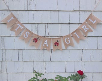 Lady Bug Baby Shower, Its A Girl Banner, Little Lady Baby Shower, Lady Bug Banner, Lady Bug Decorations, Ladybug Baby Shower Banner