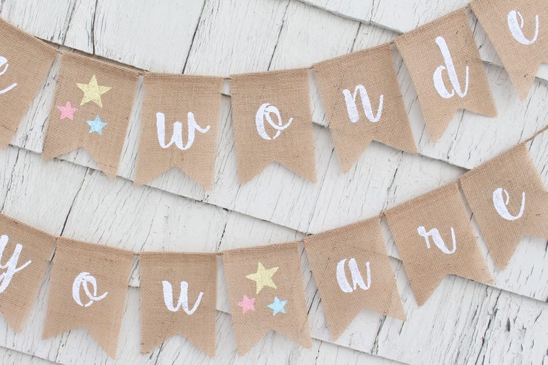 Gender Reveal Banner How We Wonder What You Are Banner Gender Reveal Ideas Twinkle Twinkle Little Star Rustic Baby Shower Decorations