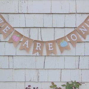 May include: A burlap banner with the words "We Are One" in white lettering. The banner is decorated with a pink and blue pumpkin.