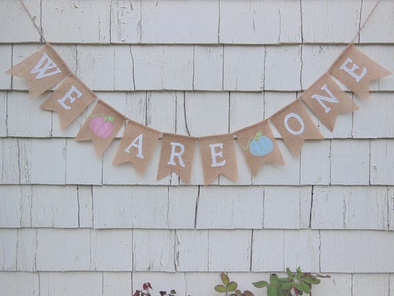 Twins Pumpkin Birthday, Twins Fall Birthday, Twins 1st First Birthday, We Are One Banner, Pumpkin 1st First Birthday, Pumpkin Cake Smash