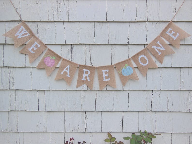 May include: A burlap banner with the words "We Are One" in white lettering. The banner is decorated with a pink and blue pumpkin.