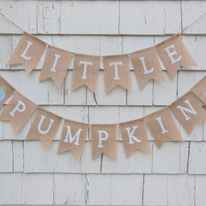 Boy Pumpkin Baby Shower, Blue Pumpkin Banner, Little Pumpkin Banner, Blue Pumpkin Decorations, Boy Pumpkin First Birthday, Fall Birthday