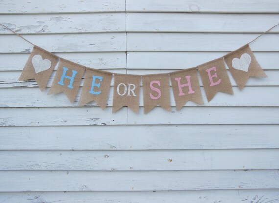 He Or She Gender Reveal Banner He Or She Gender Reveal Decor Etsy