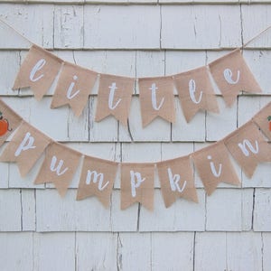 Little Pumpkin Banner, Little Pumpkin Baby Shower, Pumpkin Baby Shower, Pumpkin Shower Decor, Fall Baby Shower, Little Pumpkin Sign