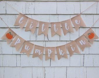 Little Pumpkin Banner, Little Pumpkin Baby Shower, Pumpkin Baby Shower, Pumpkin Shower Decor, Fall Baby Shower, Little Pumpkin Sign