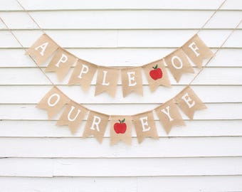 Apple of Our Eye Baby Shower, Apple of My Eye Banner, First 1st Birthday, Apple Theme Fall Shower Decorations, Bushel Of Fun Turning One