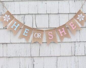 Winter Gender Reveal, Snowflake Gender Reveal Banner, He or She Gender Reveal Banner, Gender Reveal Decorations, Gender Reveal Ideas