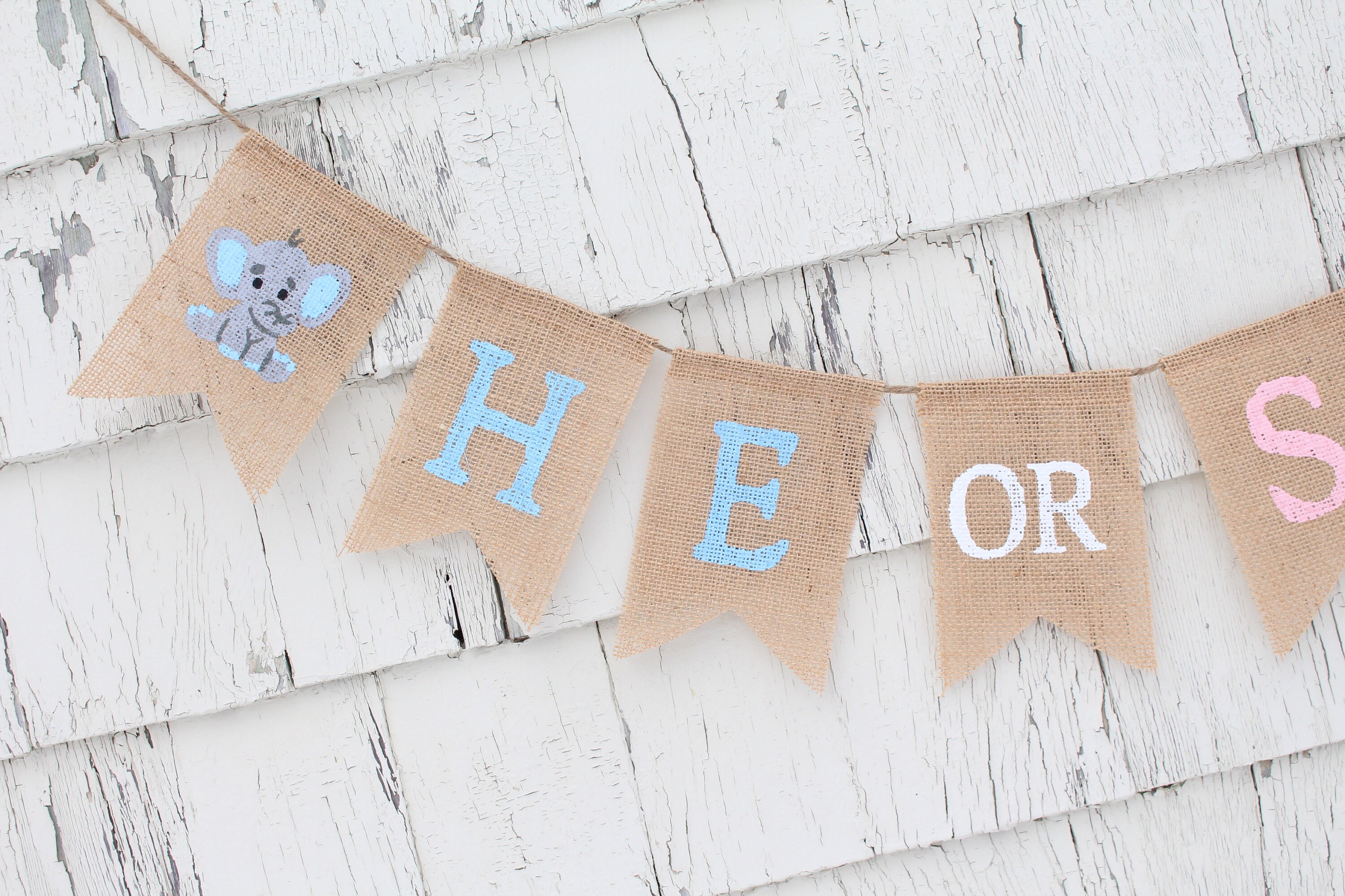 Elephant Gender Reveal Elephant Gender Reveal Banner Gender Etsy