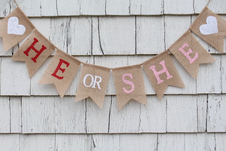 Gender Reveal Ideas Winter Gender Reveal Banner Valentines Day Gender Reveal Gender Reveal Decorations He or She Gender Reveal Banner