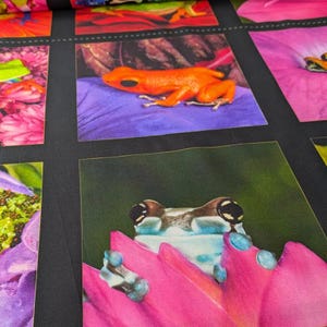 May include: A black fabric with a repeating pattern of colourful frogs on a floral background. The frogs are green, orange, and blue. The flowers are pink, purple, and white.