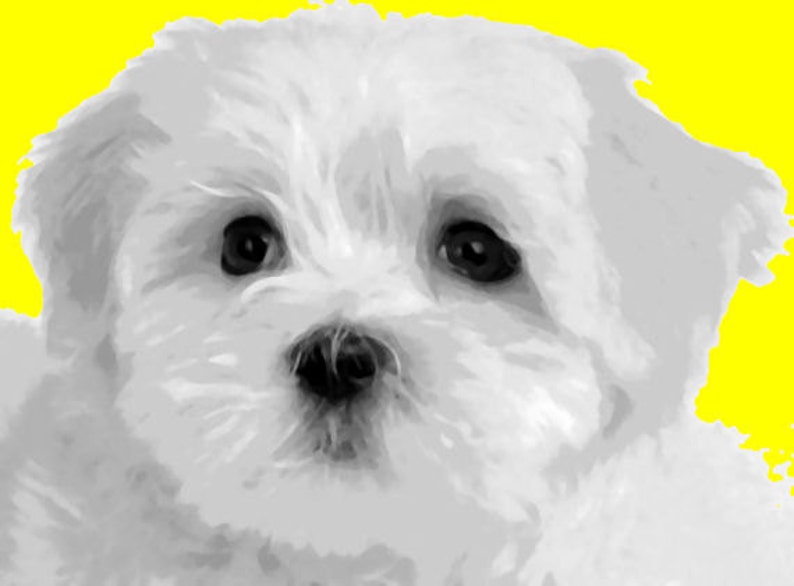 Adorable Maltese Dog Pop Art Painting Paint By Number Art Kit Etsy