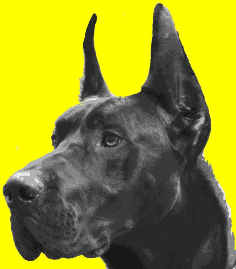 Wonderful Great Dane Pop Art Painting Paint By Number Art Kit Etsy