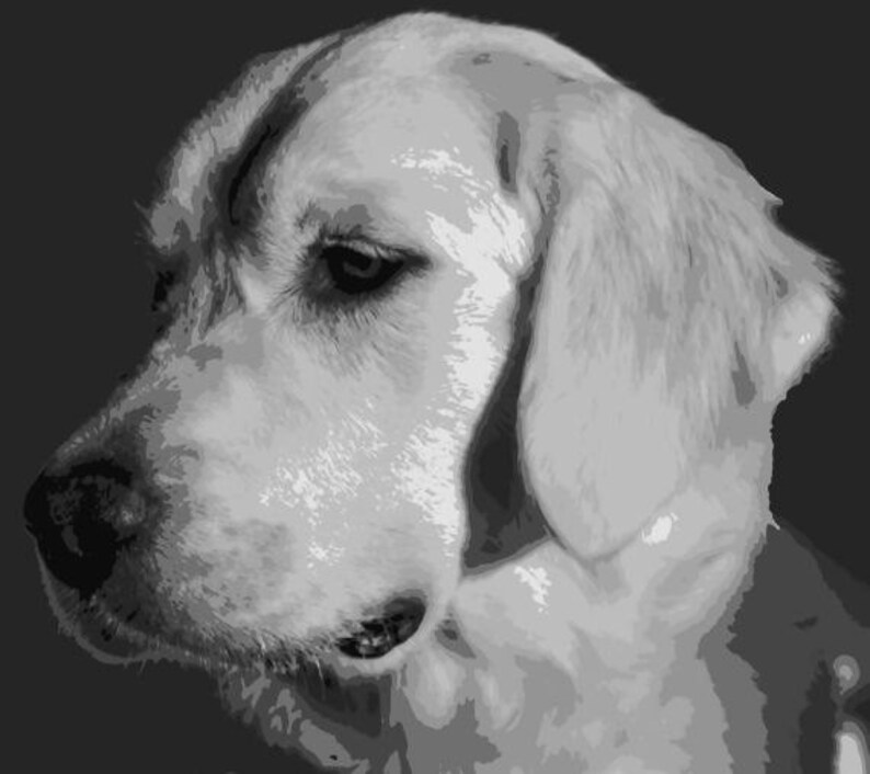 stunning golden retriever dog pop art painting paint by