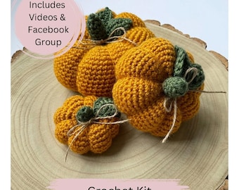 Decorative Pumpkin Crochet Kit, Beginner DIY Craft