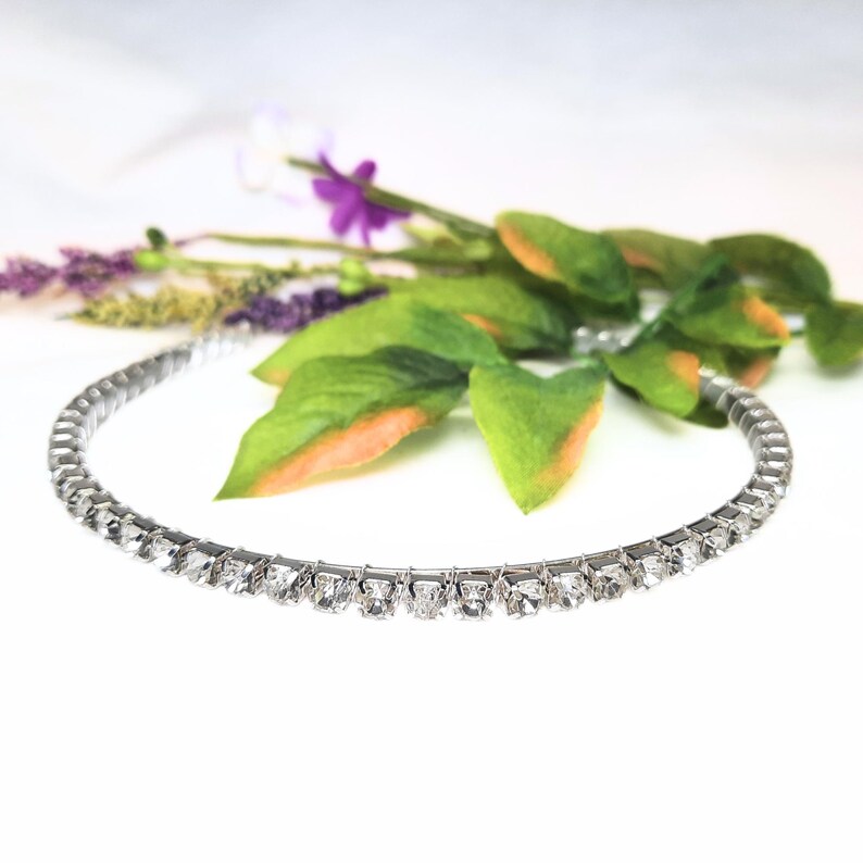 May include: A silver choker necklace with a row of clear rhinestones.