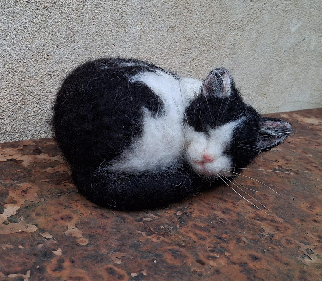 OOAK Needle Felted Sleeping Black and White Cat Curled Up - Etsy