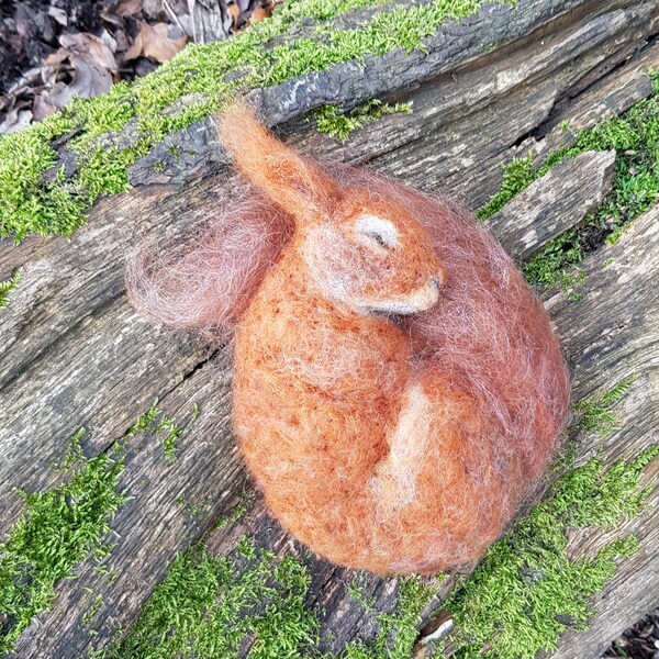 OOAK needle felted curled up sleeping red squirrel