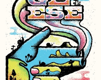 Geese 03.16.26